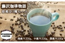 コーヒー 豆 詰め合わせ 計600g 200g×3P 藤沢珈琲物語 珈琲 飲み比べ 浅煎り 中煎り 深煎り 飲み比べ 焙煎 濃厚 ドリップ 中煎り ブレンド 深煎り コーヒー ギフト 贈答 贈り物 株式会社 フィーリングマン 神奈川 湘南 藤沢