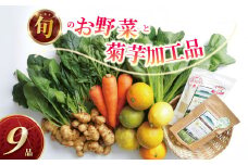 【合計9品/菊芋製品入】湘南からのおまかせ健康セット（旬の農薬不使用野菜7品＋菊芋加工品2品）