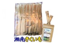 【業務用】湘南ご当地青汁100包とお試しチップスのセット【湘南きくいも】