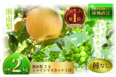 【先行予約】 9月中旬発送 シャインマスカット 梨 2kg セット 詰め合わせ なし ぶどう フルーツ 果物 豊水 あきづき ブドウ マスカット 湘南梨 旬 粒 糖度 ジュース ボンボン 緑 年 日 ふるさと お取り寄せ 贈り物 ギフト 神山果樹園 神奈川 湘南 藤沢