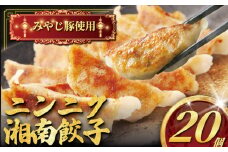 肉汁たっぷり にんにく餃子 20個入り みやじ豚 冷凍餃子 ブランド豚 100%  ニンニク 餃子 ぎょうざ ギョウザ ギョーザ ぎょーざ 焼き餃子 水餃子 gyouza おつまみ おかず 一口 お惣菜 ごはんのお供 国産 中華 お取り寄せ ギフト お土産 冷凍 加工 食品 神奈川 湘南 藤沢