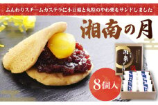 和菓子 湘南の月 8個 菓子 お菓子 栗菓子 焼菓子 カステラ スイーツ サンド 栗 やわぐり 小豆 小豆あん あんこ スチームカステラ お取り寄せ 小分け 贈答 ギフト 冷蔵 個包装 お土産 お歳暮 お中元 菊野屋製菓舗 神奈川 湘南 藤沢