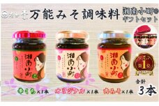 秘伝の万能みそ調味料 湘南小町 ギフトセット 肉味噌 オリジナル味噌 辛口 味噌 ミソ miso 簡単 健康志向 時短レシピ 万能調味料 調味ダレ 焼きおにぎり 厳選 国産 無着色 無香料 保存料ゼロ 和食 料亭 手作り 鵠沼海岸 湘南の味処 たか亭 神奈川 湘南 藤沢
