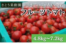 フルティカ フルーツトマト 高糖度 4.8kg～7.2kg ミニトマト トマト 完熟 高品質 甘い 極上 旨味 とまと プチ tomato 野菜 やさい yasai ハウストマト ハウス栽培 サラダ ビタミン C リコピン 美肌 美容 健康 食物繊維 産地直送 国産 神奈川 湘南 藤沢