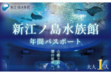 新江ノ島水族館 年間 パスポート 引換券 大人1枚 チケット 水族館 イルカショー 利用券 引換券 券 体験チケット 体験型 アクティビティ 入場券 前売り券 動物 子ども 家族 旅行 観光 トラベル 関東 江の島 江ノ島 すいぞくかん レジャー プレゼント ギフト 株式会社新江ノ島水族館 神奈川 湘南 藤沢