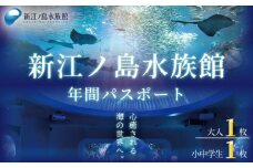 新江ノ島水族館 年間 パスポート 引換券  ( 大人1枚 + 小・中学生1枚 ) チケット 水族館 イルカショー 利用券 引換券 券 体験チケット 体験型 アクティビティ 入場券 前売り券 動物 子ども 家族 旅行 観光 トラベル 関東 江の島 江ノ島 すいぞくかん レジャー プレゼント ギフト 株式会社新江ノ島水族館 神奈川 湘南 藤沢