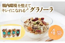 グラノーラ 鵠沼グラノーラ ダイエット 無添加 健康食 小分け 個包装 低糖質 糖質制限 糖質オフ 食物繊維  タンパク質 ヴィーガン 腸活 プレゼント ギフト ヴィーガンスイーツ ベジタリアン ヘルシー 贈り物 ニコニコホームメイド  神奈川 湘南 藤沢