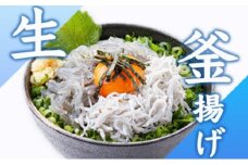 湘南しらす 生しらす と 釜揚げしらす 計6 パック セット 釜揚げ しらす シラス sirasu じゃこ ちりめん しらす干し 江の島しらす イワシ 鰯 小分け 手軽 海鮮 魚 魚介 魚貝 小魚 ごはん 海鮮丼 丼 米 冷凍 江の島 江ノ島 とびっちょ 国産 神奈川 湘南 藤沢