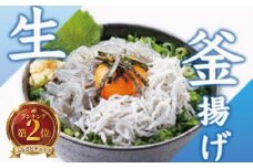 湘南しらす 生しらす と 釜揚げしらす 各2 パック セット 計440g 釜揚げ しらす シラス sirasu じゃこ ちりめん しらす干し 江の島しらす イワシ 小分け 手軽 海鮮 魚 魚介 魚貝 小魚 ごはん 海鮮丼 丼 米 冷凍 江の島 江ノ島 とびっちょ 国産 神奈川 湘南 藤沢