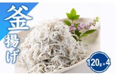 湘南しらす 計480g ( 120g × 4パック )  釜揚げしらす 釜揚げ しらす シラス sirasu じゃこ ちりめん しらす干し 江の島しらす イワシ 小分け 手軽 海鮮 魚 魚介 魚貝 小魚 ごはん 海鮮丼 丼 米 冷凍 江の島 江ノ島 とびっちょ 国産 神奈川 湘南 藤沢