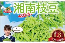 えだまめ 1.8kg  小分け 枝豆 小分け 朝採り とれたて 湘南産 先行予約 2026年7月発送 新鮮 豆 まめ edamame mame マメ えだ豆 エダマメ 個包装 便利 甘い 濃厚 旬 野菜 お酒 やさい 夏野菜 冷蔵 まめっぱ農園 神奈川 湘南 藤沢