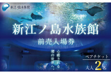 新江ノ島水族館 チケット 前売 入場券 大人2枚 有効期間 チケット 水族館 イルカショー 利用券 引換券 券 体験チケット 体験型 アクティビティ 入場券 前売り券 動物 子ども 家族 旅行 観光 トラベル 関東 江の島 江ノ島 すいぞくかん レジャー プレゼント ギフト 株式会社新江ノ島水族館 神奈川 湘南 藤沢