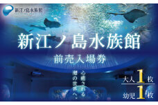 新江ノ島水族館 チケット 前売 入場券 ( 大人1枚 幼児1枚 ) 有効期間 チケット 水族館 イルカショー 利用券 引換券 券 体験チケット 体験型 アクティビティ 入場券 前売り券 動物 子ども 家族 旅行 観光 トラベル 関東 江の島 江ノ島 すいぞくかん レジャー プレゼント ギフト 株式会社新江ノ島水族館 神奈川 湘南 藤沢