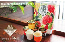 アイス lce 【定期便 3回 隔月】130ml × 6個 季節おすすめ アイスクリーム セット 手作り ドルチェ ミルク マカダミアナッツ コーヒー カカオ チョコレート スイーツ デザート 冷凍 ジェラート ソフトクリーム Hilo Homemade Ice Cream 神奈川 