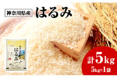 米 はるみ 5kg こめ 甘い ツヤ キヌヒカリ コシヒカリ kome ※ お米 白米 ご飯 ごはん 弁当 お弁当 おにぎり はくまい 美味い 甘い ブランド 湘南の晴れた海 精米 ブランド米 湘南生まれ 米 食味 ランキング 最高評価 「 特A 」 株式会社ミツワライス 神奈川 湘南 藤沢