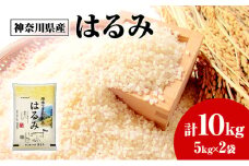 米 はるみ 10kg 5kg × 2 こめ 甘い ツヤ キヌヒカリ コシヒカリ kome ※ お米 白米 ご飯 ごはん 弁当 お弁当 おにぎり はくまい 美味い 甘い ブランド 湘南の晴れた海 精米 ブランド米 湘南生まれ 米 食味 ランキング 最高評価 「 特A 」 株式会社ミツワライス 神奈川 湘南 藤沢