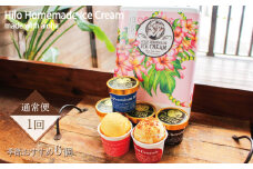 あいす アイスクリーム 130ml × 6個 季節おすすめ セット アイスセット 手作り アイス ice aisu ドルチェ 旬 季節 おすすめ オススメ お楽しみ フレーバー 食べ比べ スイーツ デザート 冷凍 ジェラート ソフトクリーム Hilo Homemade Ice Cream 神奈川 湘南 藤沢