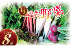 訳あり 旬 の 野菜セット 8品 種類おまかせ 旬 野菜 やさい yasai ヤサイ 野菜セット やさいセット 旬の野菜 お野菜 健康 果樹 栽培 自然 春野菜 夏野菜 秋野菜 冬野菜 不揃い おまかせ 訳アリ 訳あり品 わけあり 訳有 ワケアリ 数量限定 農家直送 産地直送 神奈川 湘南 藤沢