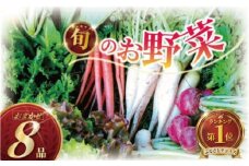 訳あり 旬 の 野菜セット 8品 種類おまかせ 旬 野菜 やさい yasai ヤサイ 野菜セット やさいセット 旬の野菜 お野菜 健康 果樹 栽培 自然 春野菜 夏野菜 秋野菜 冬野菜 不揃い おまかせ 訳アリ 訳あり品 わけあり 訳有 ワケアリ 数量限定 農家直送 産地直送 神奈川 湘南 藤沢