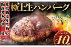 国産 黒毛和牛 鹿児島県産 黒豚 ハンバーグ 10個 セット A4 A5ランク 使用 計1.2kg 手作り Hamburg はんばーぐ 惣菜 冷凍 和牛 豚肉 牛肉 ぶたにく ぎゅうにく ブランド牛 ブランド豚 肉汁 beef 人気 夕食 おかず 小分け 便利 簡単調理 焼くだけ タカギフーズ 神奈川 湘南 藤沢