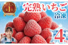 冷凍いちご 完熟 4kg ( 1kg × 4袋 ) へた除去済み 苺 いちご イチゴ ストロベリー 訳あり 訳有り 訳アリ 品種おまかせ 果物 くだもの itigo 冷凍 フルーツ 甘い デザート スムージー アレンジ ヨーグルト おいしい 新鮮 風味 香り 訳あり品 簡易包装 人気 井出農園 神奈川 湘南 藤沢