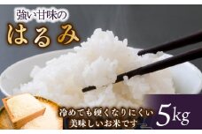 【先行予約】 令和7年 新米 米 はるみ 5kg こめ 甘い ツヤ キヌヒカリ コシヒカリ kome  お米 白米 ご飯 ごはん 弁当 お弁当 おにぎり はくまい 美味い   精米 ブランド米 湘南生まれ 藤沢産  ランキング 最高評価 特A 神奈川ワークショップ 神奈川 湘南 藤沢