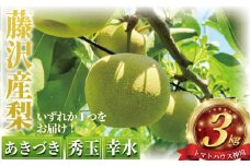 先行予約 梨 約3kg あきづき  幸水  秀玉 ナシ 新鮮 季節限定 フルーツ 果物 スイーツ くだもの なし nasi 人気品種 ナシ 和梨 日本梨 赤梨 旬の梨  甘い 爽やか 旬 贈答用 ギフト お中元 プレゼント お祝い 贅沢 産地直送 農家直送 数量限定 トマトハウス神埼 神奈川 湘南 藤沢