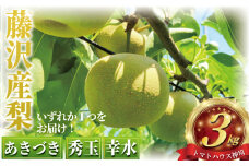 先行予約 2026年8月中旬より発送 梨 約3kg あきづき  幸水  秀玉 ナシ 新鮮 季節限定 フルーツ 果物 スイーツ くだもの なし nasi 人気品種 ナシ 和梨 日本梨 赤梨 旬の梨  甘い 爽やか 旬 贈答用 ギフト お中元 プレゼント お祝い 贅沢 産地直送 農家直送 数量限定 トマトハウス神埼 神奈川 湘南 藤沢