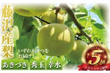 先行予約 梨 約 5kg 幸水 あきづき 秀玉 ナシ 新鮮 季節限定 フルーツ 果物 スイーツ くだもの なし 人気品種 ナシ 和梨 日本梨 赤梨 旬の梨  甘い 爽やか 旬 贈答用 ギフト お中元 プレゼント nasi 贅沢 お取り寄せ 産地直送 農家直送 数量限定 トマトハウス神埼 神奈川 湘南 藤沢