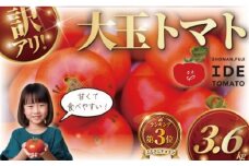 【11月発送】訳あり 完熟 大玉トマト 3,6キロ トマト 野菜 やさい 果物 とまと tomato 甘い リコピン トマト フルーツ 産地直送 数量限定 農家直送 鮮度 新鮮 ハウス栽培 ビタミンC 美容 健康 お弁当 先行予約 わけあり 訳アリ 訳あり品 サラダ 井出トマト農園 神奈川 湘南 藤沢 