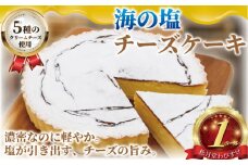 チーズケーキ 海の塩 チーズケーキ 1ホール 湘南藤沢名物 出来立て 急速冷凍 ケーキ デザート チーズ 菓子 お菓子 焼き菓子 スイーツ おやつ ちーずけーき 海 塩 人気 お取り寄せ 誕生日 記念日 贈答 プレゼント ギフト 松月堂わびすけ 神奈川 湘南 藤沢
