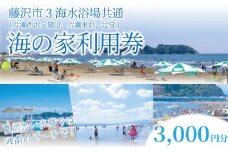 ふるさと納税限定 海の家 利用券 3000円 分 藤 海水浴場 共通チケット ( 片瀬西浜 鵠沼 片瀬東浜 辻堂 ) ご利用券 江の島 江ノ島 食事券 お食事券 グルメ券 利用券 商品券 補助券 ギフト券 ギフト チケット お食事 ランチ ディナー 夕食 旅行 観光 旅行 トラベル 関東 首都圏 10000円 神奈川 湘南 藤沢