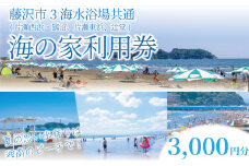 ふるさと納税限定 海の家 利用券 3000円 分 藤 海水浴場 共通チケット ( 片瀬西浜 鵠沼 片瀬東浜 辻堂 ) ご利用券 江の島 江ノ島 食事券 お食事券 グルメ券 利用券 商品券 補助券 ギフト券 ギフト チケット お食事 ランチ ディナー 夕食 旅行 観光 旅行 トラベル 関東 首都圏 10000円 神奈川 湘南 藤沢