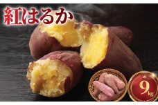 薩摩芋 さつまいも 9kg 紅はるか 訳あり 訳アリ 訳有 サツマイモ べにはるか 神奈川県産 甘い スイーツ 甘芋 スイートポテト sweet potato 蜜 蜜芋 芋 旬 秋の味覚 おやつ ダイエット 先行予約 数量限定 産地直送 農家直送 有機栽培 簡単調理 八〇八 神奈川 湘南 藤沢 江の島