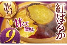 訳あり 紅はるか 9kg 11月以降発送 開始 さつまいも 訳アリ 訳有 サツマイモ 薩摩芋 さつま芋 デザート べにはるか スイーツ 甘芋 スイートポテト sweet potato 蜜 蜜芋 芋 イモ 旬 秋野菜 秋の味覚 おやつ ダイエット 食物繊維 先行予約 産地直送 農家直送 八〇八 神奈川 湘南 藤沢