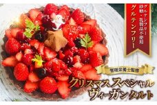 クリスマス スぺシャル タルト ケーキ ヴィーガン 生 チョコレート ロースイーツ 生 カカオ 生チョコ チョコ ちょこ グルテンフリー いちご イチゴ 苺 くりすます 冷凍 ホール サンタ 管理栄養士 自家製 デザート スイーツ すいーつ クリスマスケーキ 白砂糖不使用 乳製品不使用 菓子工房 Pace ぱぁちぇ 神奈川 湘南 藤沢