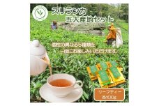 紅茶 茶葉 スリランカ フレッシュティー ティー  5大産地 セット 100g × 5袋 ギフト プレゼント フレッシュ お茶 紅茶セット 新鮮 香り 風味 紅茶専門店 イソブチカンパニー 神奈川 湘南 藤沢 贈り物 お土産 リーフティー ミルクティー ヌワラエリア ウバ ディンブラ キャンディ ルフナ