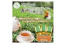 紅茶 茶葉 スリランカ フレッシュティー ティー  ハイグロウンティー 3種 セット 100g × 3袋 ギフト プレゼント フレッシュ お茶 紅茶セット 新鮮 香り 風味 紅茶専門店 専門店 イソブチカンパニー 神奈川 湘南 藤沢 贈り物 お土産 リーフティー ミルクティー ヌワラエリア ウバ ディンブラ