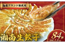 餃子 ぎょうざ 84個 (42個 × 2 パック) 肉汁たっぷり 大きい 国産 ブランド豚 ルイビ豚 小分け 豚肉 野菜 湘南餃子 湘南ぎょうざ 焼き餃子 gyouza ギョーザ 冷凍餃子 生餃子 冷凍 ご飯 おかず 冷凍食品 中華 おつまみ 簡単調理 時短 簡易包装 手作り餃子 サノフーズ 神奈川 湘南 藤沢
