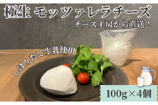 チーズ モッツァレラ チーズ 4個 極生 モッツァレラチーズ ちーず ナチュラルチーズ cheese フレッシュチーズ ミルク 新鮮 出来立て 直送 ビール おつまみ おやつ ピザ パスタ 人気 ギフト お取り寄せ 贈り物 贈答 Aprotodo’S株式会社 RRAAP BREWERY 神奈川 湘南 藤沢