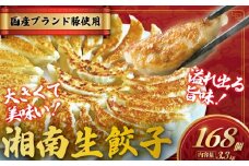 餃子 ぎょうざ 168個 (42個 × 4 パック) 肉汁たっぷり 大きい 国産 ブランド豚 ルイビ豚 小分け 豚肉 野菜 湘南餃子 湘南ぎょうざ 焼き餃子 gyouza ギョーザ 冷凍餃子 生餃子 冷凍 ご飯 おかず 冷凍食品 中華 おつまみ 簡単調理 時短 簡易包装 手作り餃子 サノフーズ 神奈川 湘南 藤沢