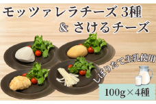 チーズ モッツァレラ 3種＋ チギチー チーズ 4種セット 極生 魚醤漬け 味噌漬け チギチー モッツァレラチーズ 裂けるチーズ ちーず ナチュラルチーズ cheese ビール おつまみ おやつ 人気 お取り寄せ 贈り物 贈答 Aprotodo’S株式会社 RRAAP BREWERY 神奈川 湘南 藤沢