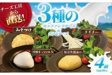 チーズ モッツァレラ 3種＋ チギチー チーズ 4種セット 極生 魚醤漬け 味噌漬け チギチー モッツァレラチーズ 裂けるチーズ ちーず ナチュラルチーズ cheese ビール おつまみ おやつ 人気 お取り寄せ 贈り物 贈答 Aprotodo’S株式会社 RRAAP BREWERY 神奈川 湘南 藤沢