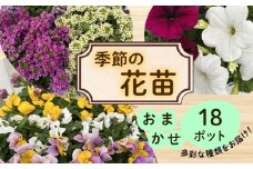 季節 の 花苗 おまかせ 18 ポット  花 生産農場 直送 寄せ植え ガーデニング 緑 はな hana ペチュニア ベゴニアセンパ マリーゴールド 赤サルビア ポーチュラカ一重 八重 バーベナ インパチェンス コリウス パンジー ビオラ 葉ボタン アリッサム 苗 植物 渡辺花園 神奈川 湘南 藤沢