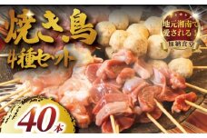 訳あり 焼き鳥 40本 4種 お任せ セット 鶏もも つくね 砂肝 豚ハツ 冷凍 やきとり 焼き鶏 ヤキトリ 焼鳥 焼鶏 やき鳥 焼きとり yakitori 串焼き 鶏肉 とりにく トリニク 鶏肉 鳥肉 訳あり品 訳アリ わけあり バーベキュー BBQ 簡単調理 冷凍食品 おつまみ おかず 加納食堂 神奈川 湘南 藤沢