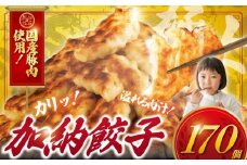 ぎょうざ 餃子  170個 肉汁 旨い パック 豚肉 ぶた 野菜 焼き餃子 水餃子  国産豚  豚肉 野菜 ギョーザ gyouza 冷凍餃子 ぶたにく 生餃子 冷凍 ご飯 おかず 夕食 おつまみ 晩酌 簡単調理 時短 簡易包装 手作り餃子 冷凍 冷凍食品 中華 加納食堂 神奈川 湘南 藤沢