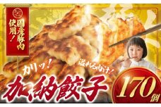 ぎょうざ 餃子  170個 肉汁 旨い パック 豚肉 ぶた 野菜 焼き餃子 水餃子  国産豚  豚肉 野菜 ギョーザ gyouza 冷凍餃子 ぶたにく 生餃子 冷凍 ご飯 おかず 夕食 おつまみ 晩酌 簡単調理 時短 簡易包装 手作り餃子 冷凍 冷凍食品 中華 加納食堂 神奈川 湘南 藤沢