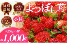 小粒いちご 特別栽培 よつぼし 計1kg 先行受付 2026年3月発送開始 約 250g × 4パック GLOBALG.A.P.認証 ブランドいちご 苺 イチゴ ストロベリー strawberry フルーツ 果物 旬 数量限定 期間限定 産地直送 おすすめ ichigo リッチフィールド株式会社 湘南 藤沢 神奈川