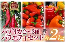 パプリカ 2kg 2~3種 バラエティ セット 品種 おまかせ 肉厚 特別栽培 新鮮 ジューシー 栄養 野菜 国産 ドルチェ  パレルモ GLOBALG.A.P.認証 レシピ ビタミン マリネ ラタトゥイユ お弁当 子ども カレー キーマカレー おやつ そのまま 贈答 リッチフィールド株式会社 湘南 藤沢 神奈川