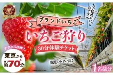 いちご狩り 1名様分 30分 体験チケット 10種類 食べ比べ 関東 予約 最新鋭 いちご 苺 ストロベリー ブランドいちご 採れたて 特別栽培 果物 入園券 券 カップル 夫婦 友人 友達 子連れ 休日 フルーツ フルーツ狩り 果物狩り アクセス お出かけ 思い出 観光 リッチフィールド株式会社 湘南 藤沢 神奈川